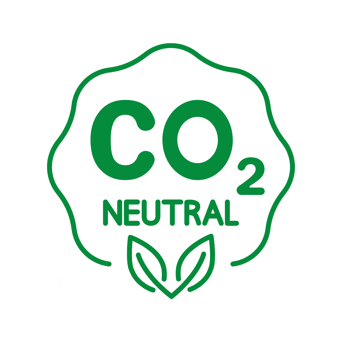 S (6) Carbon Neutrality - immagine 1