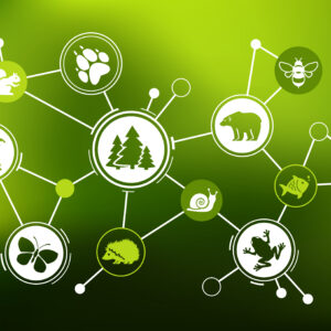 Calcolo degli Indici di Biodiversità